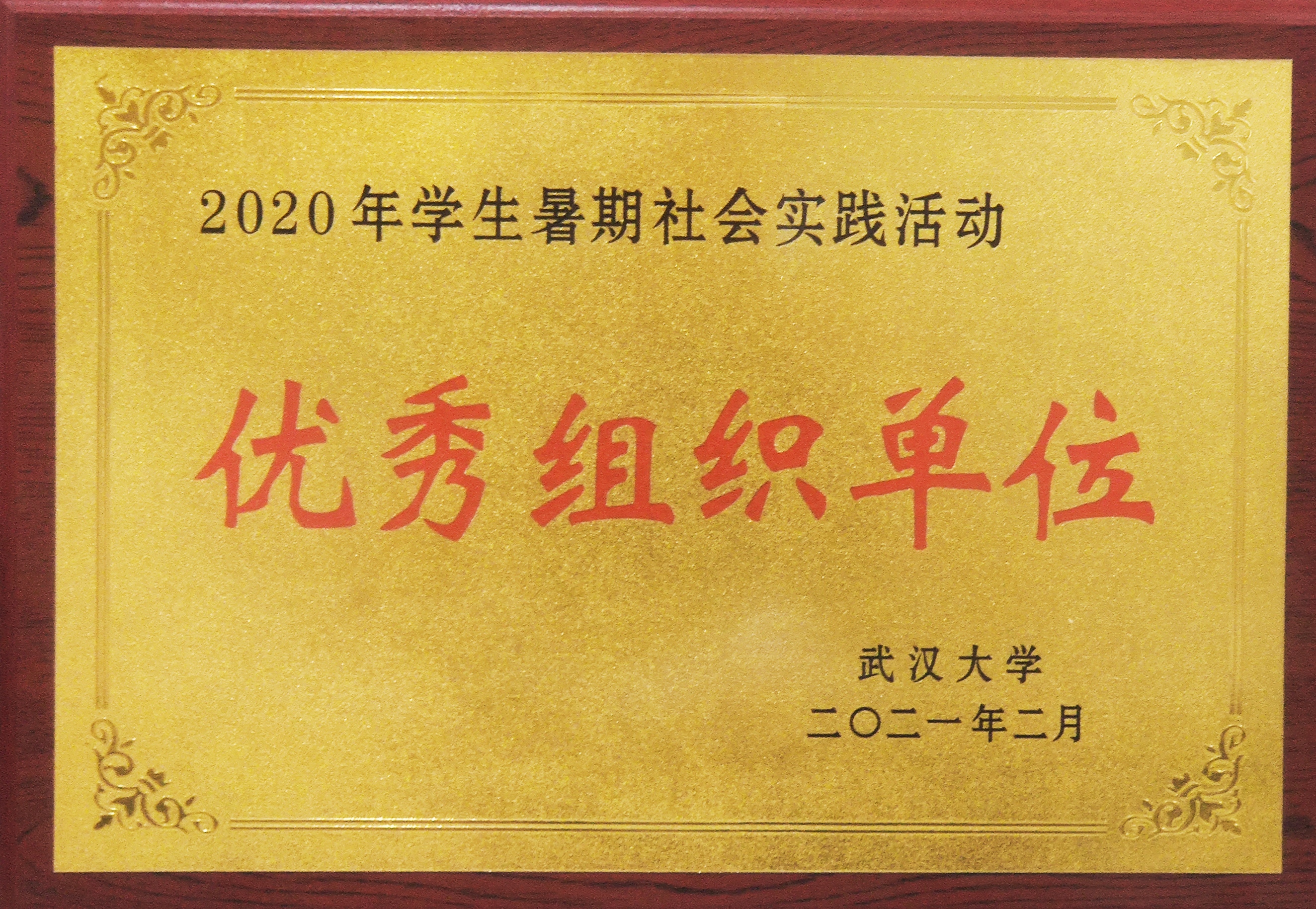 媒体链接 | 问鼎娱乐获评2020年暑期社会实践活动优秀组织单位